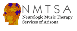 NMTSA Logo